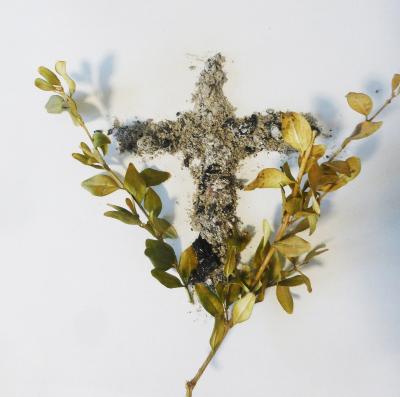 Aschenkreuz