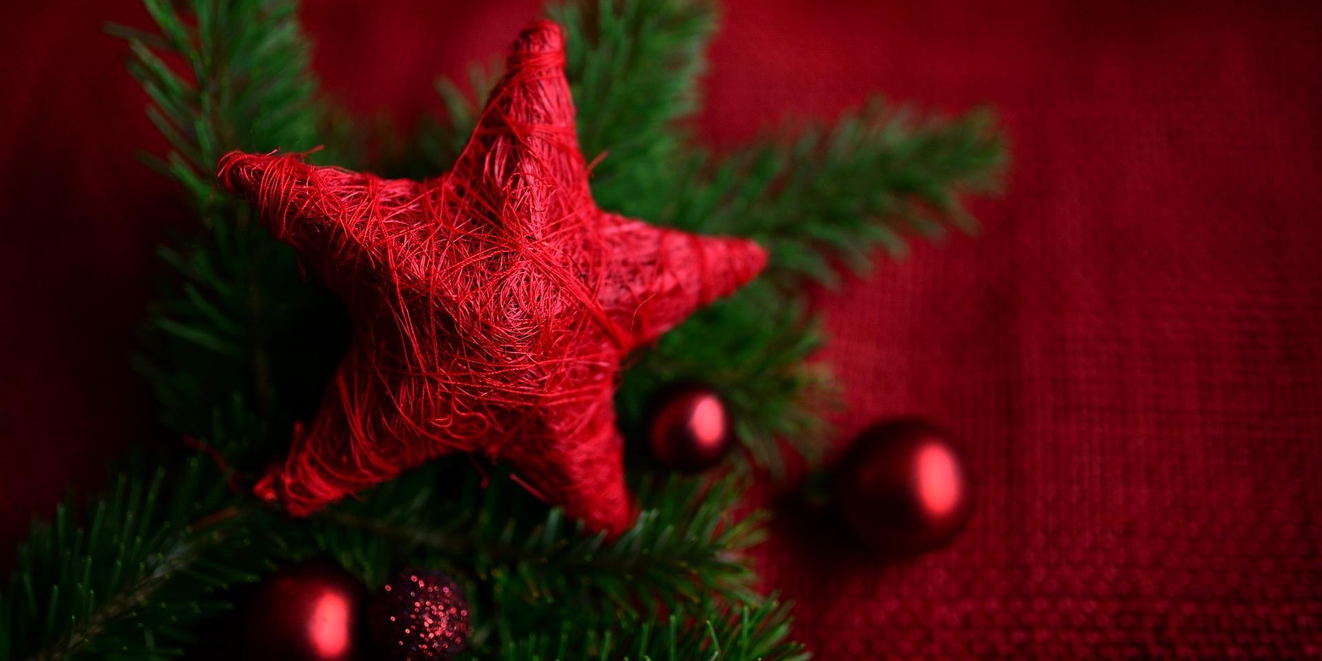 Weihnachtsstern